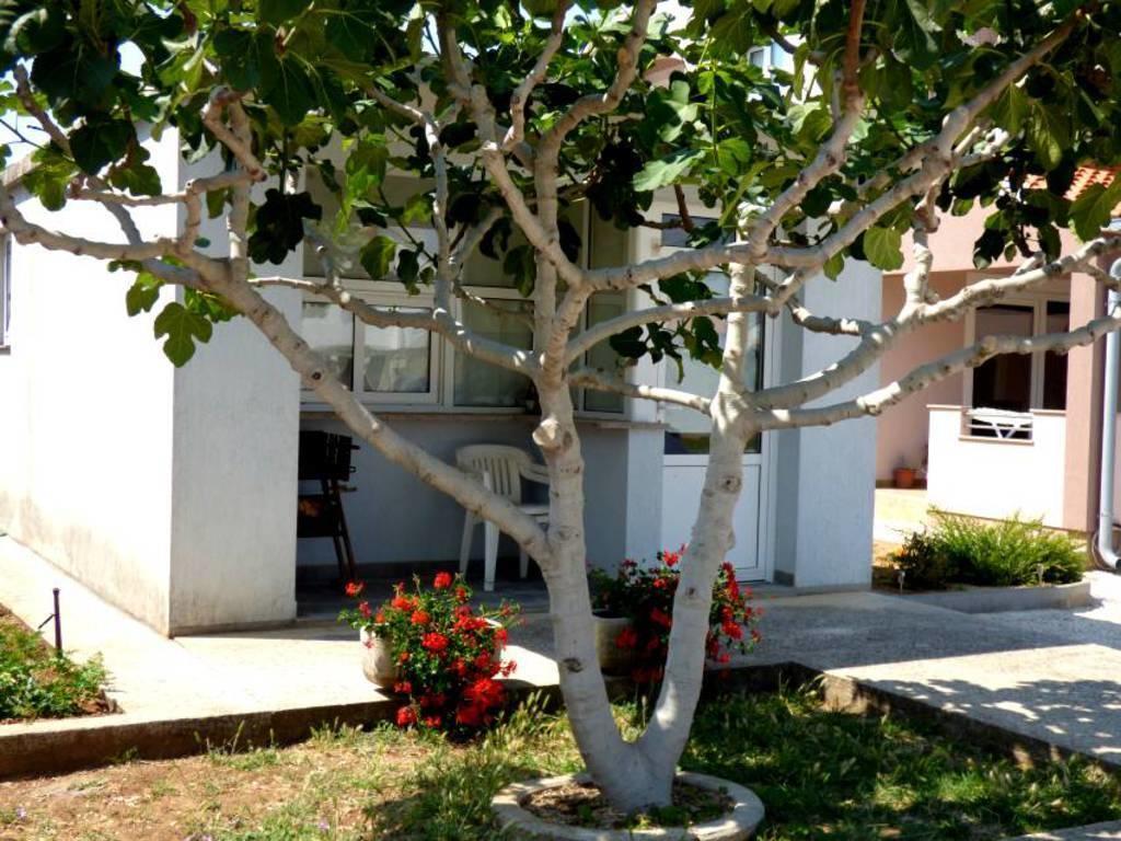 Apartments Branko Nin Exterior photo